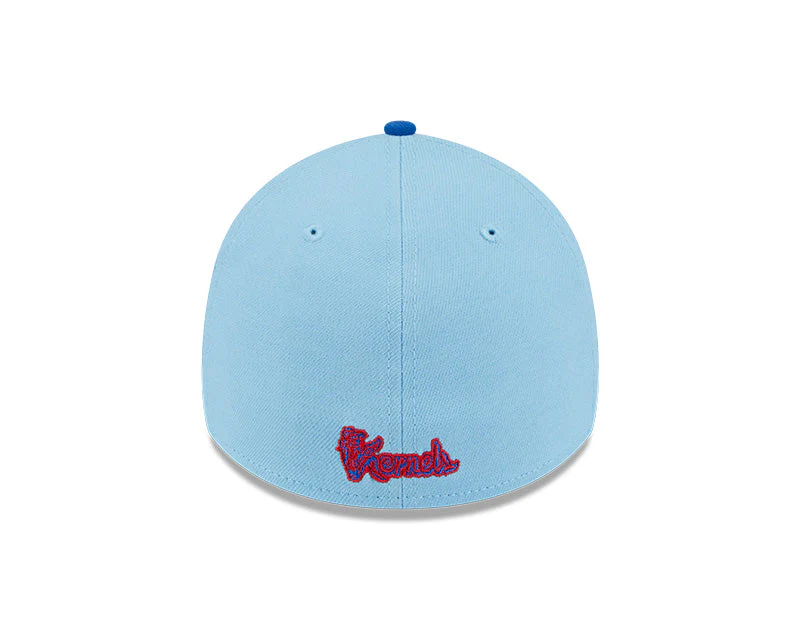 2025 July 4th caps Flex fit - Image 3
