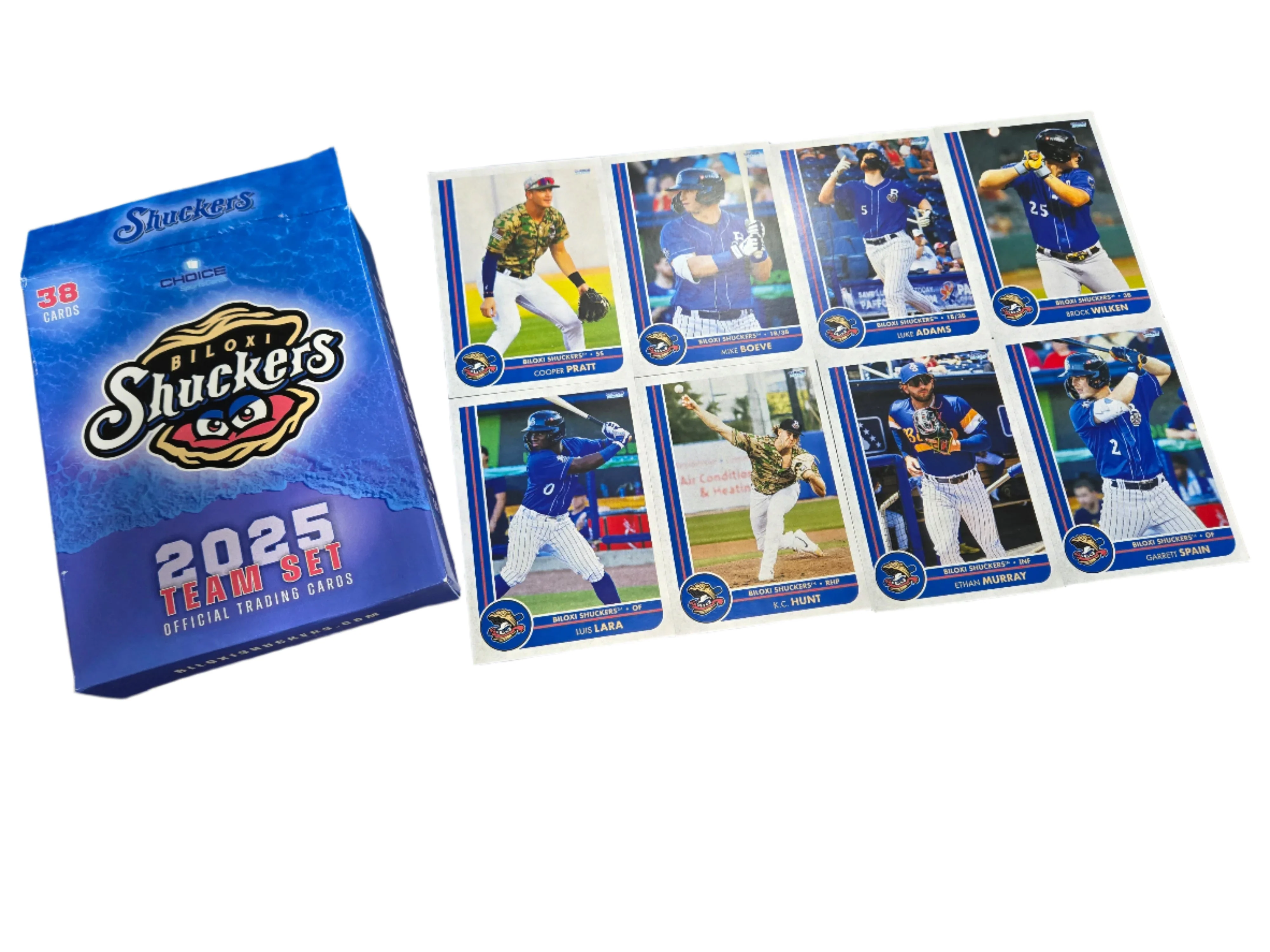 2025 Team Card Set