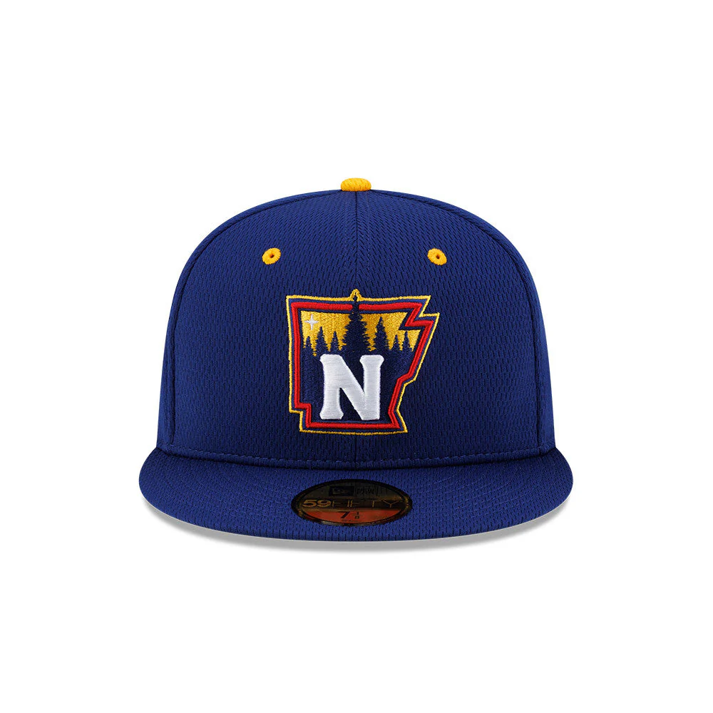 **NEW** 59Fifty BP State Cap - Image 2
