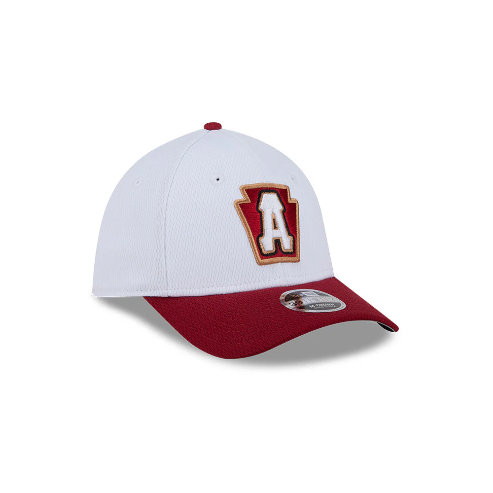 Altoona Curve New Era Youth and Toddler Baseball 39Thirty - Image 2