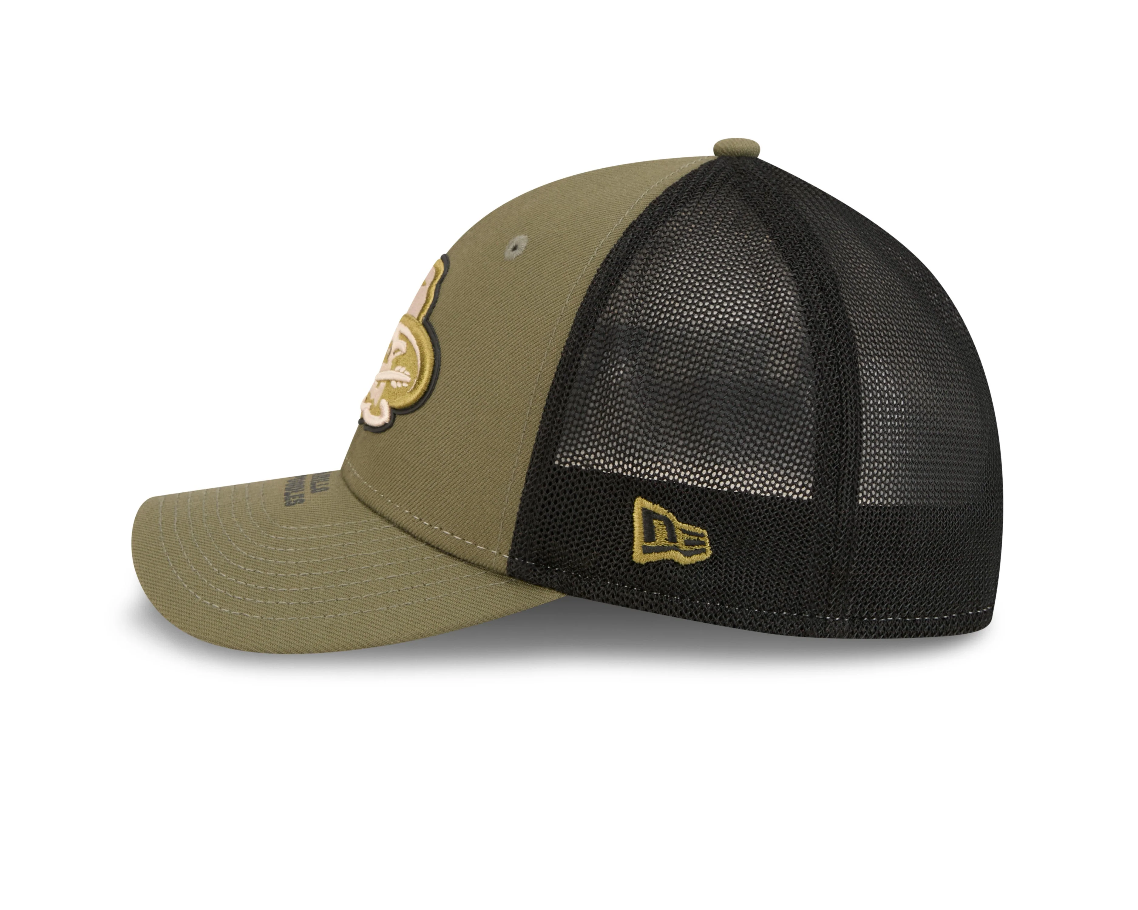Amarillo Sod Poodles New Era 2026 39THIRTY Armed Forces Hat - Image 4