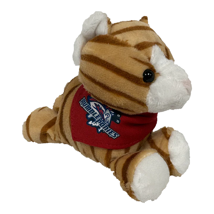Binghamton Rumble Ponies Shortstack Tabby Cats