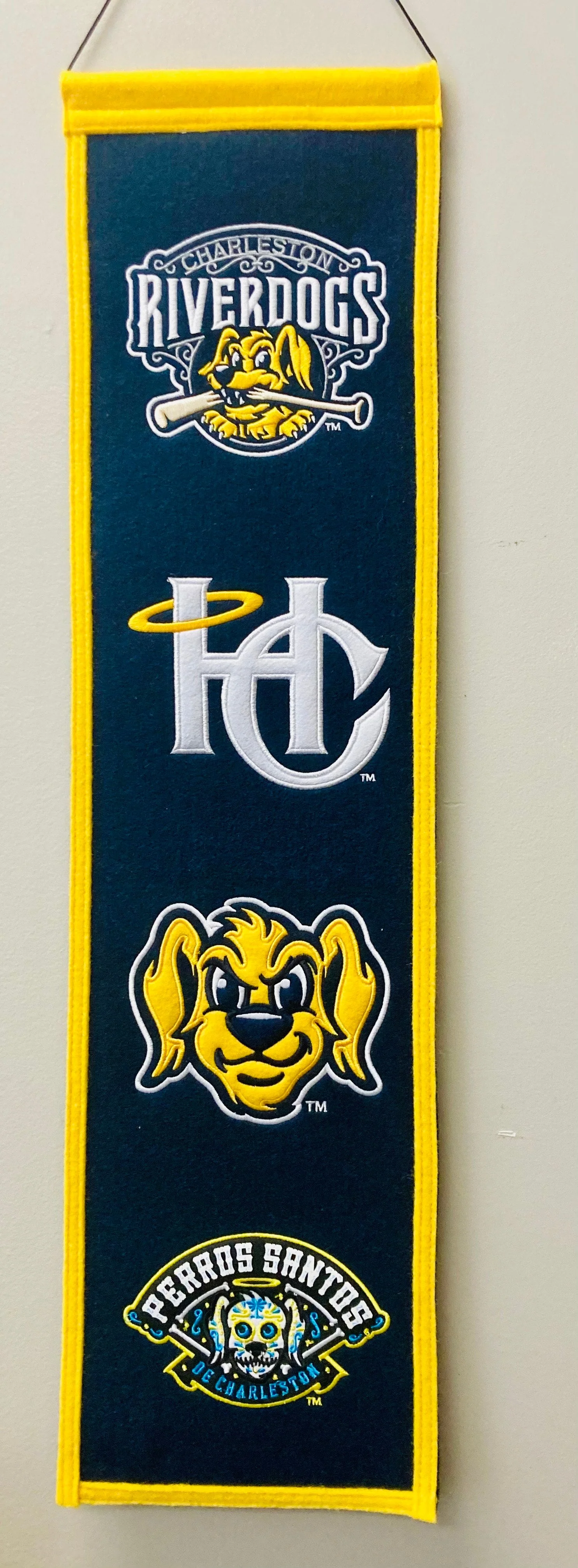 Charleston RiverDogs Official Wool Banner