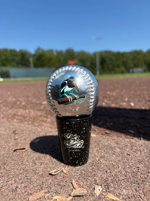 Chesapeake Baysox BASEBALL Mitt SILVER - Image 2