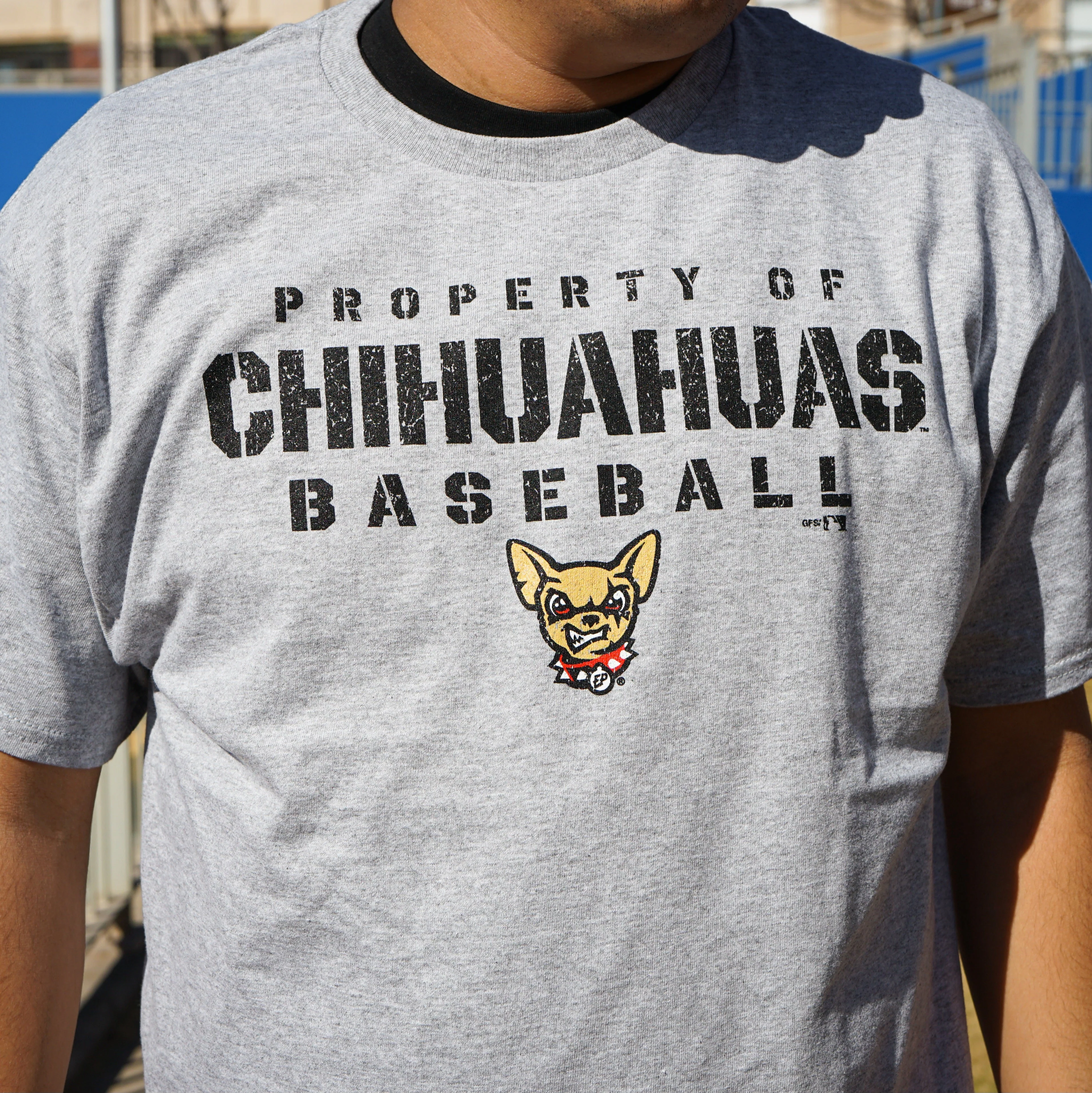 CHIHUAHUAS BASIC OXFORD TEE- CHAMPION
