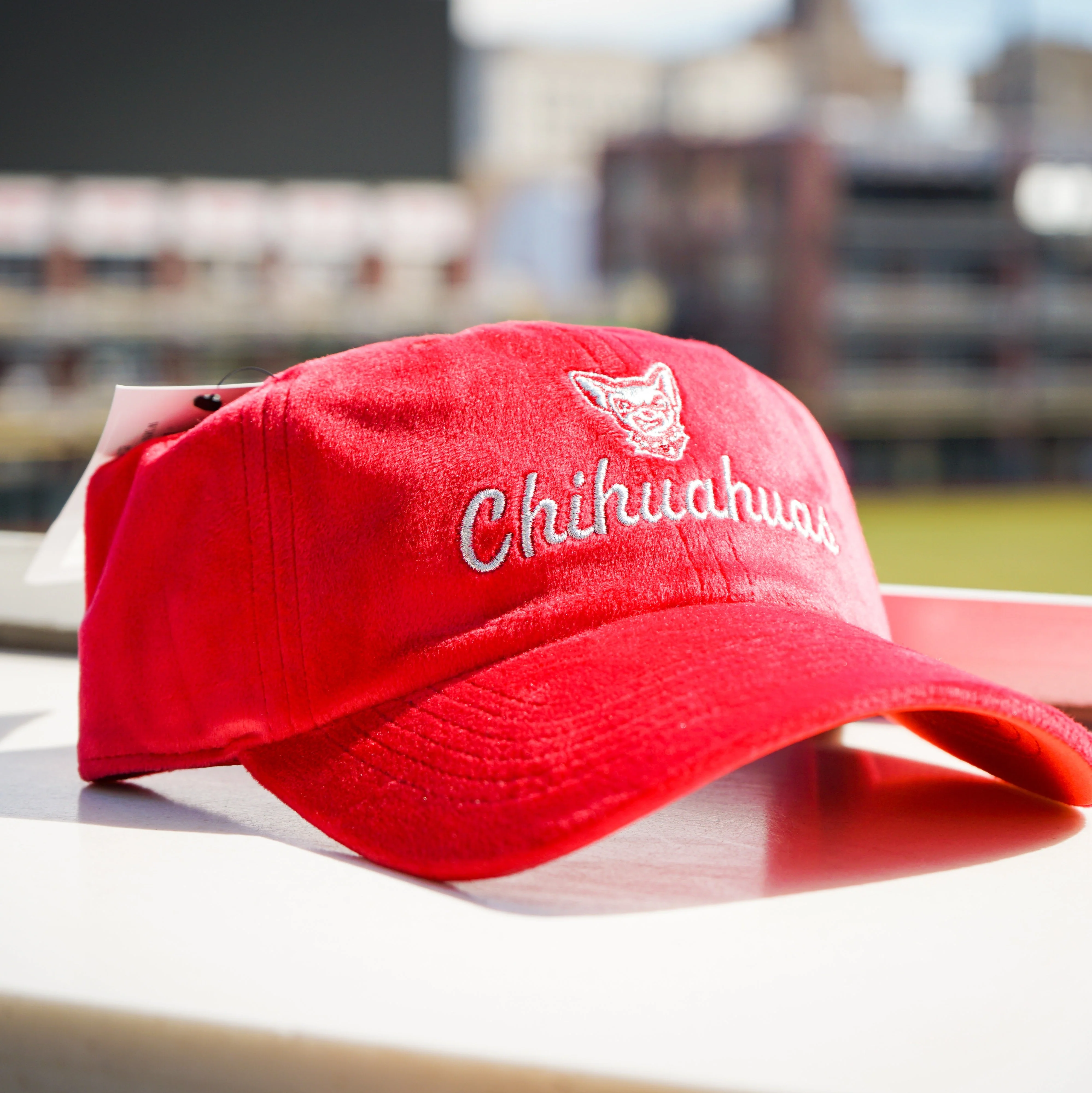 CHIHUAHUAS RED VELVET ADJUSTABLE HAT- 47 BRAND CLEAN UP