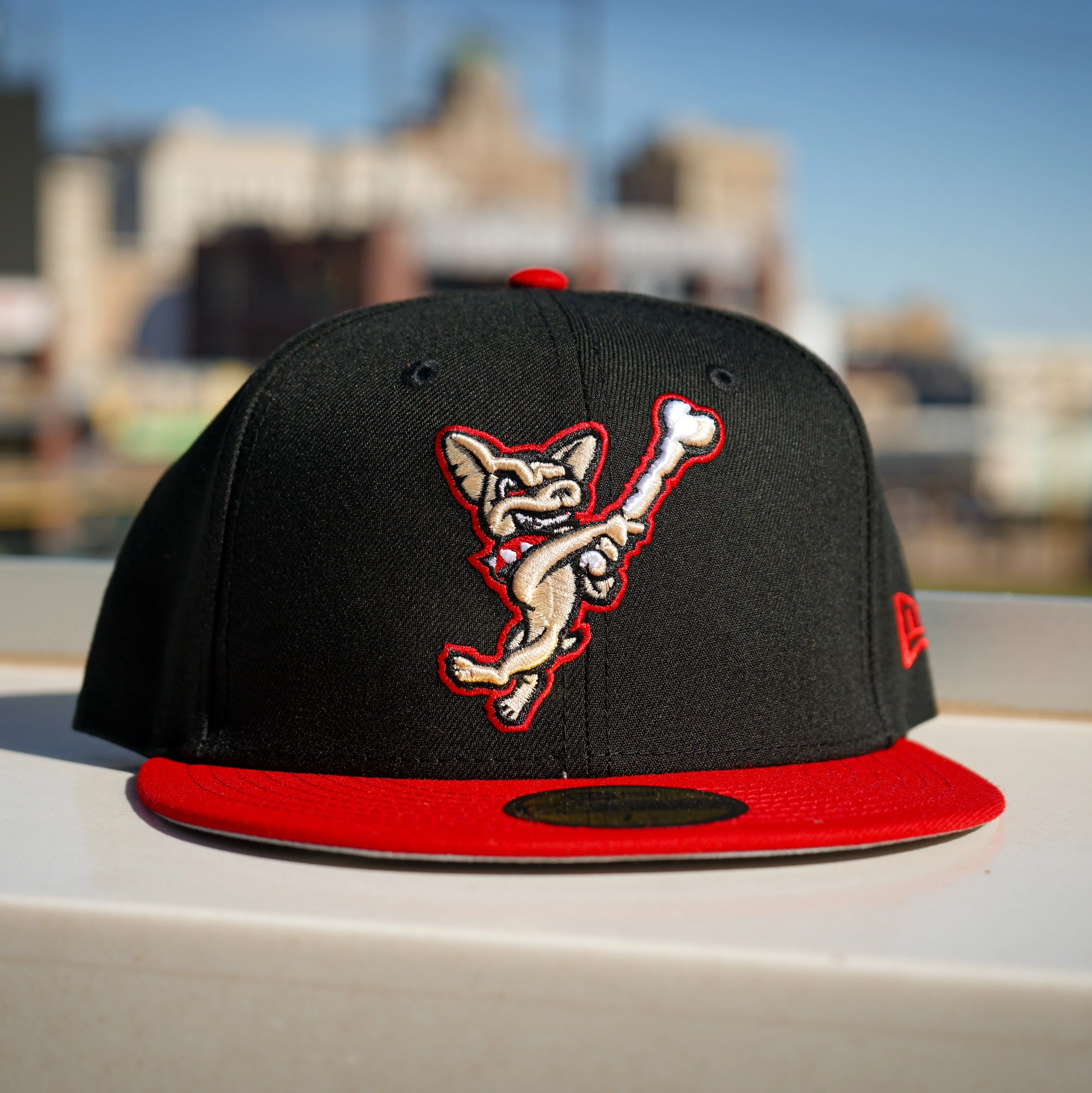CHIHUAHUAS SWINGING DOG 5950 FITTED HAT- NEW ERA