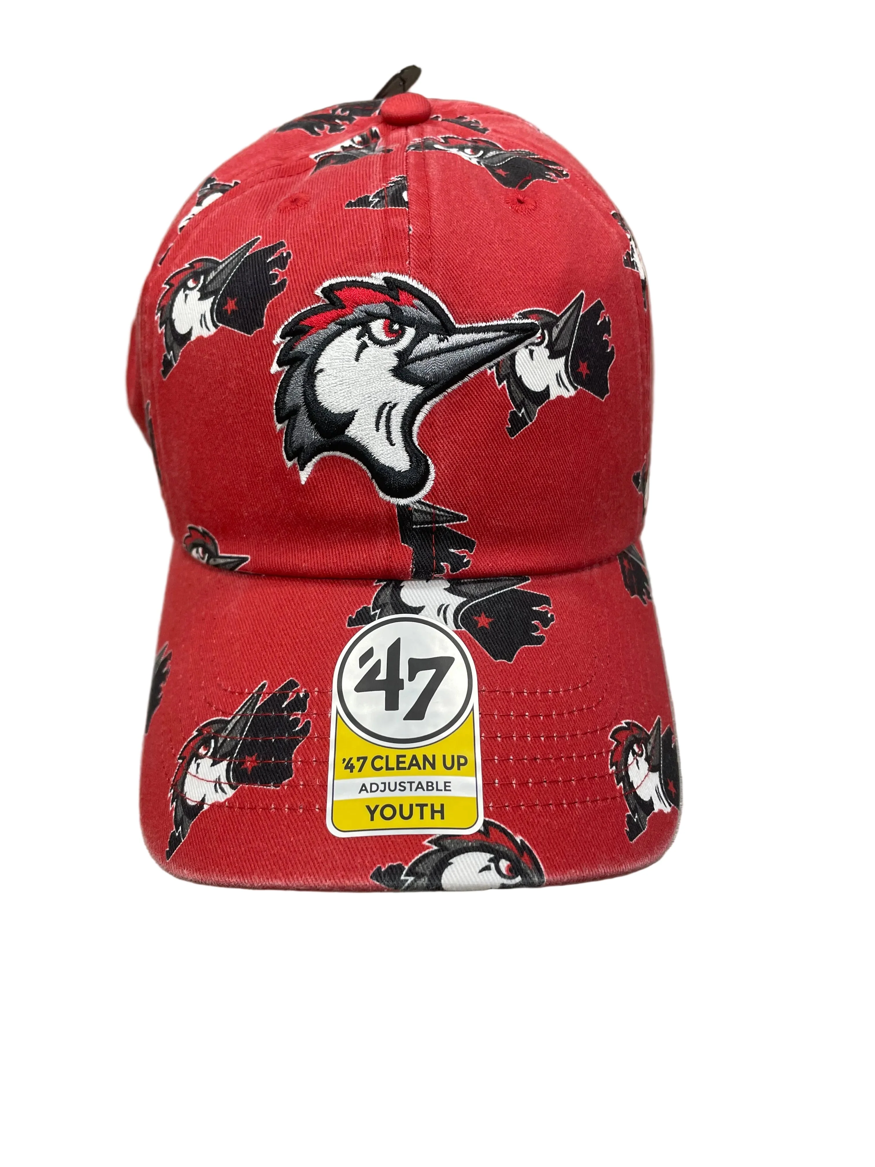 Fayetteville Woodpeckers 47Brand Youth Alt Logo Printfetti Clean Up Cap