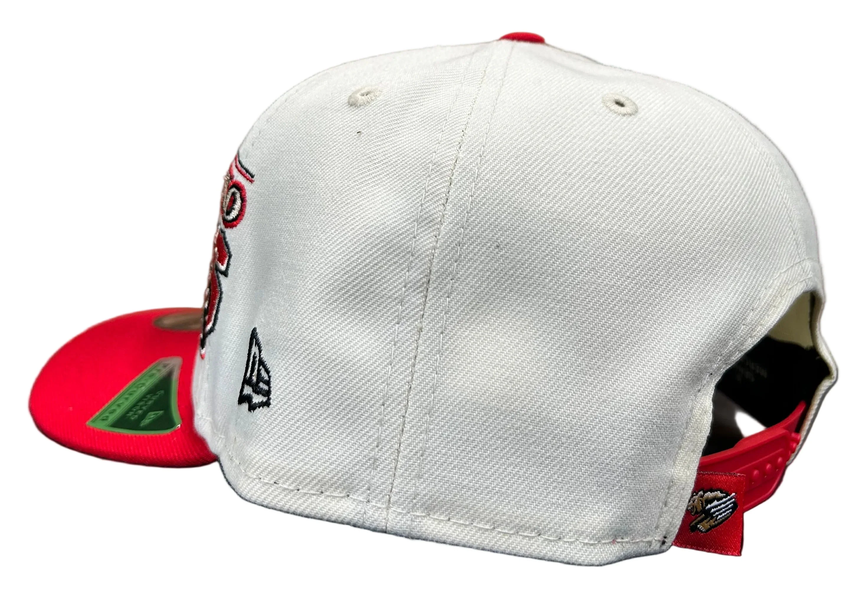 Fresno Grizzlies 950AF Classic - Image 3