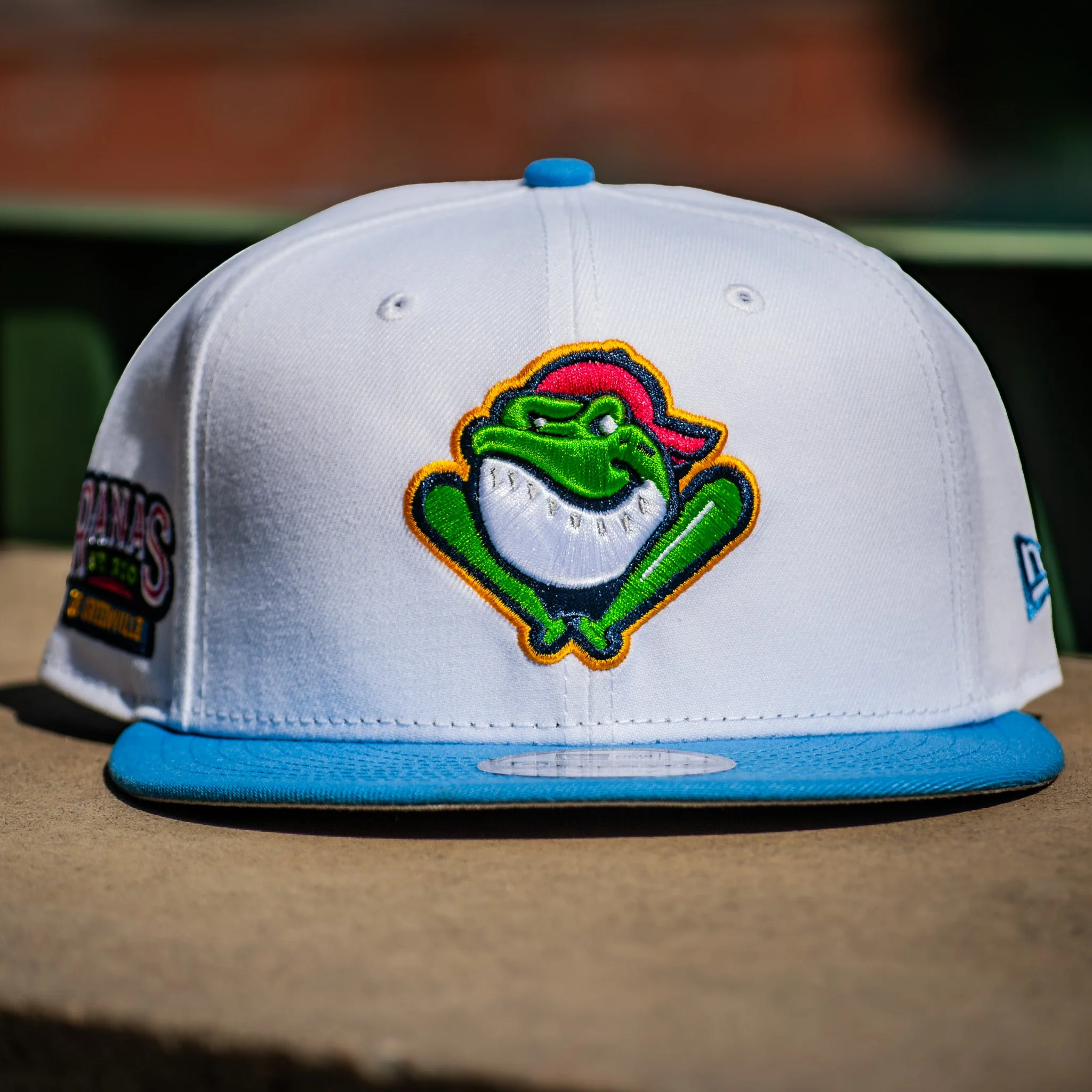 Greenville Drive New Era Blue/White Ranas 9FIFTY Snapback Hat