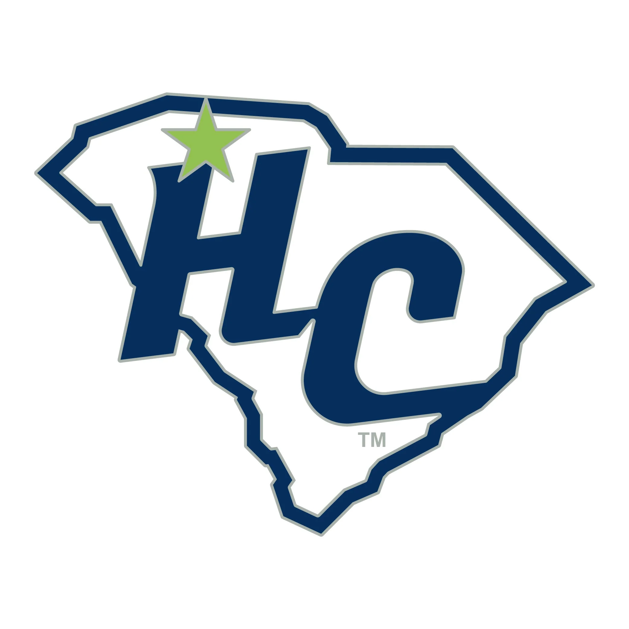HC State Collector Pin