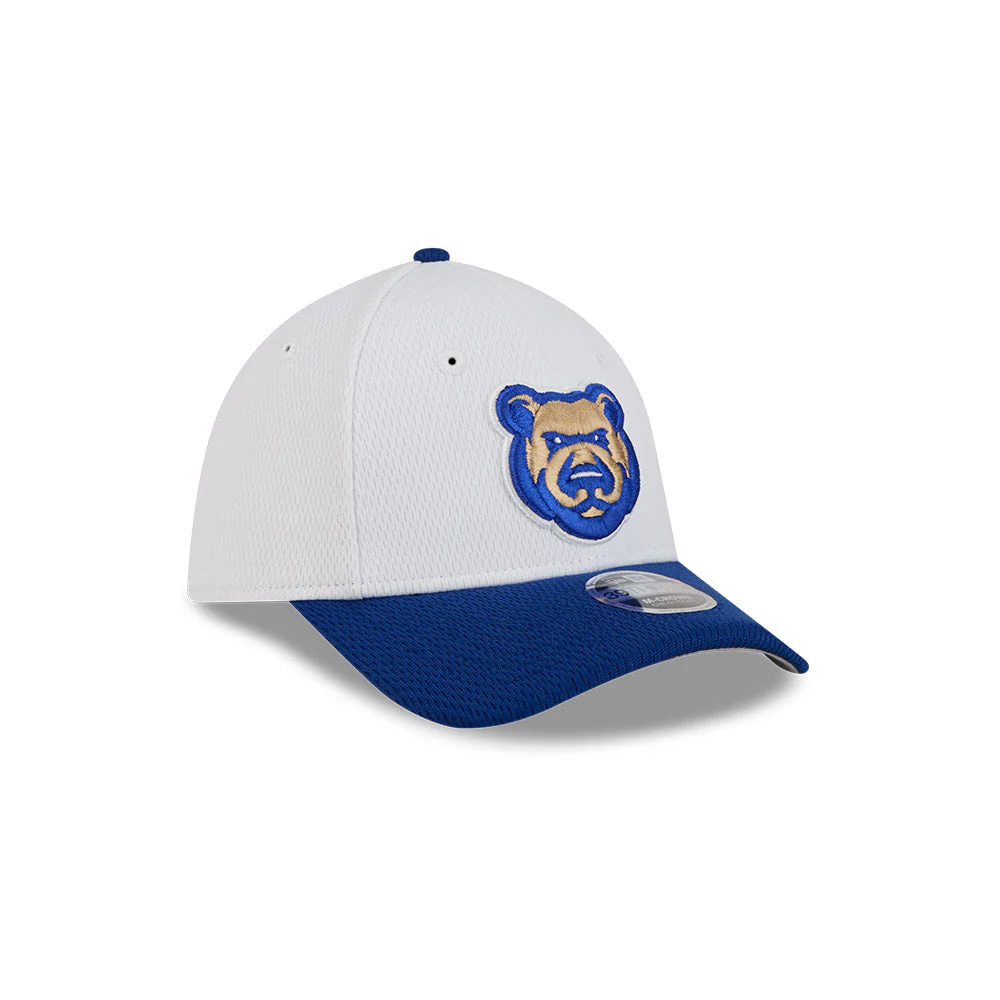 Iowa Cubs Kids Baseball 39THIRTY - Image 2