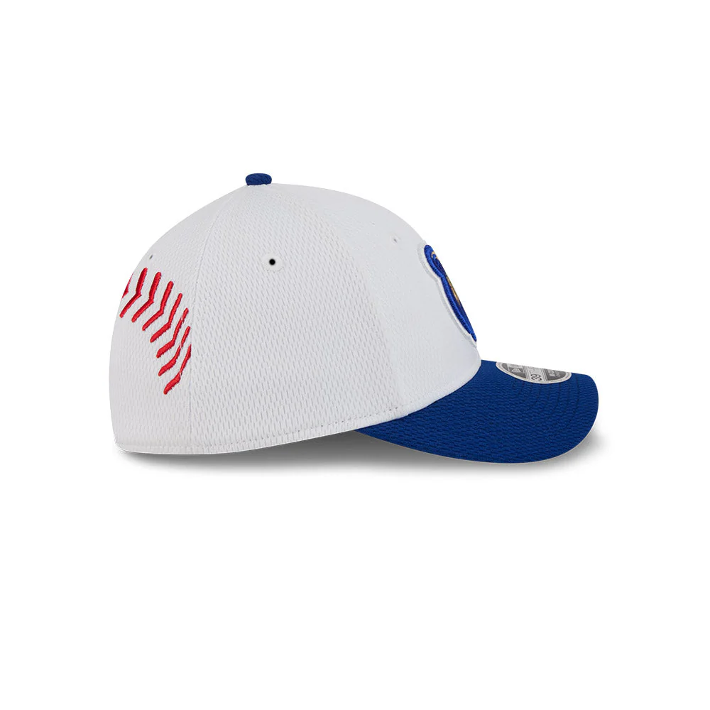 Iowa Cubs Kids Baseball 39THIRTY - Image 6