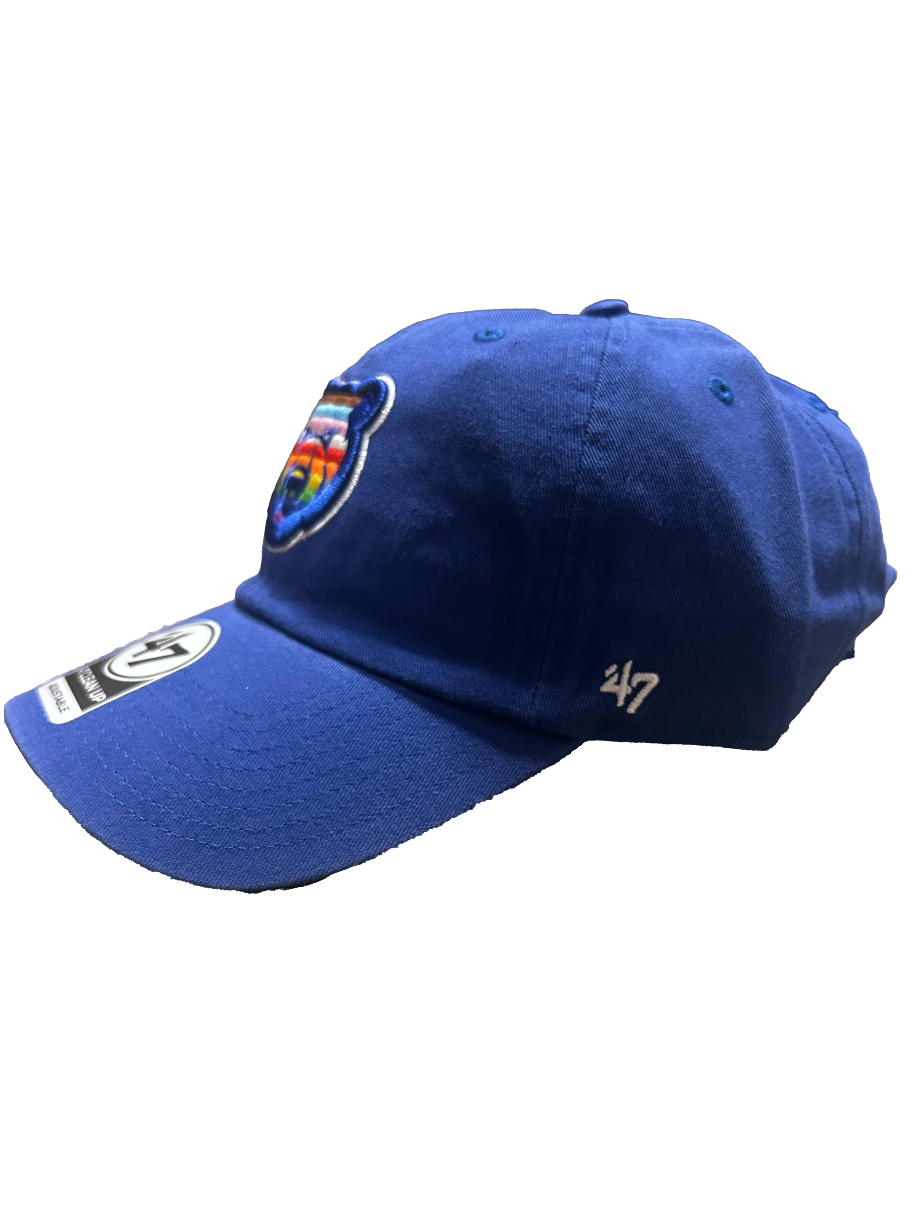Iowa Cubs Pride Adjustable Clean Up Cap - Image 2