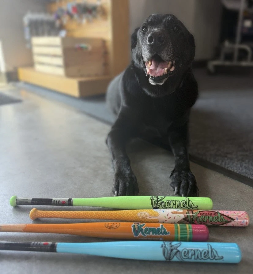 Kernels Mini Bats