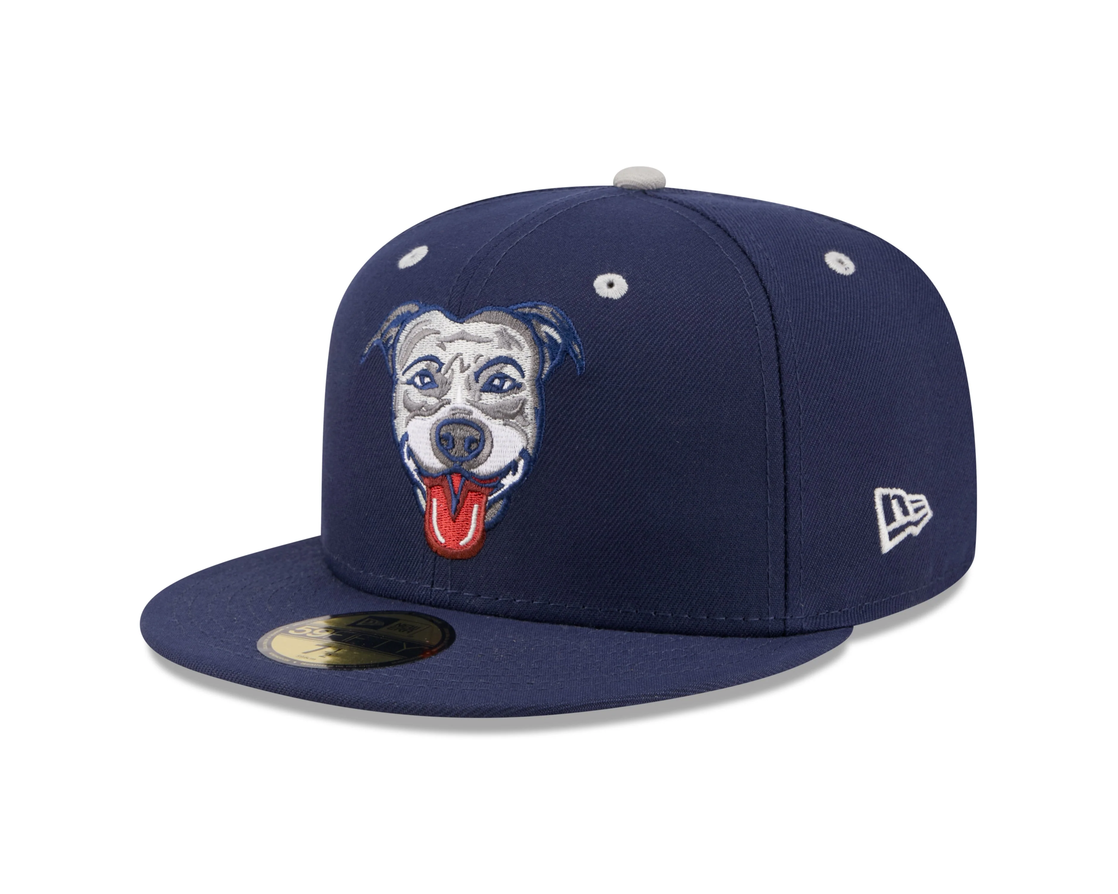 Lehigh Valley Pitties New Era 5950 Cap