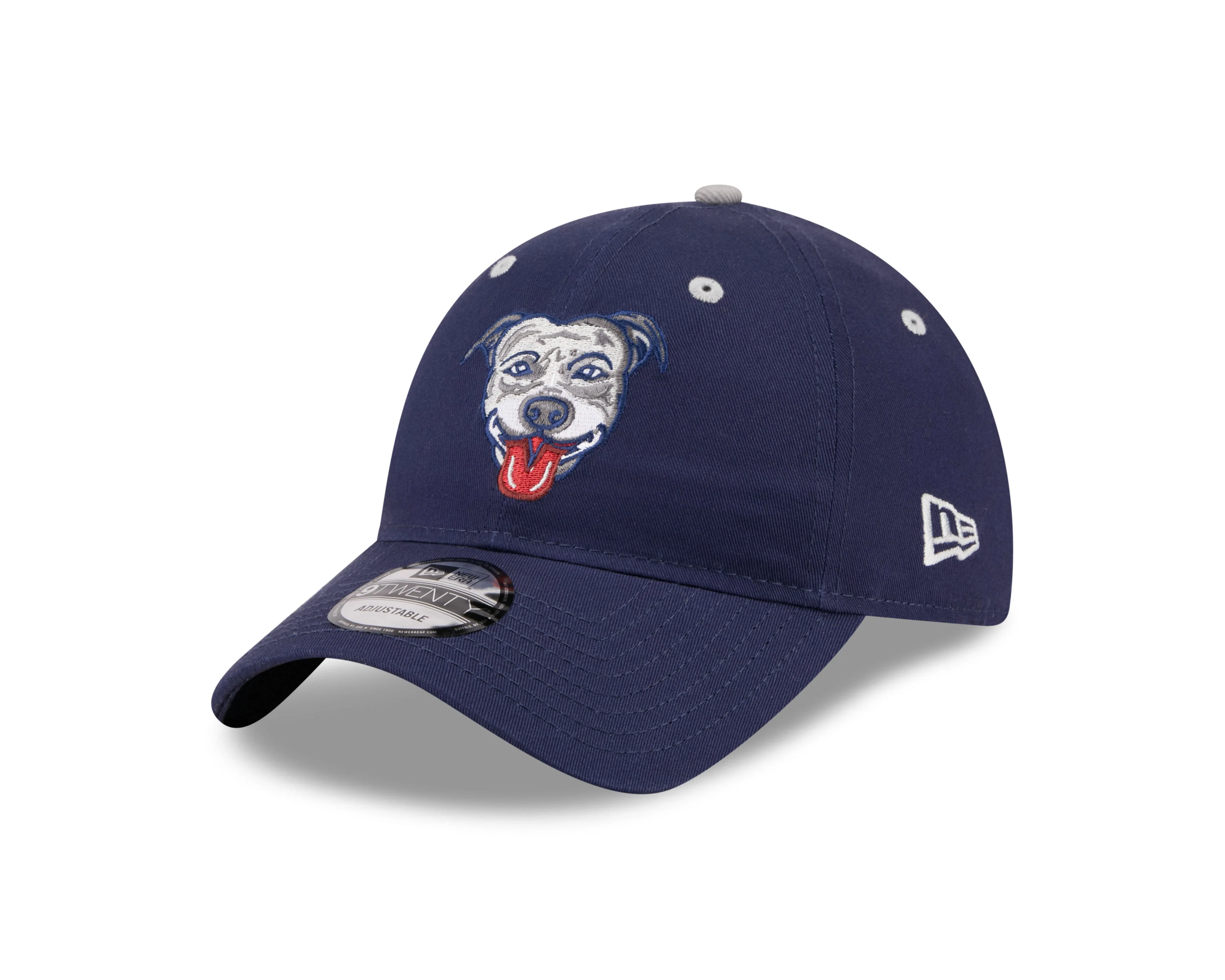 Lehigh Valley Pitties 920 New Era Cap