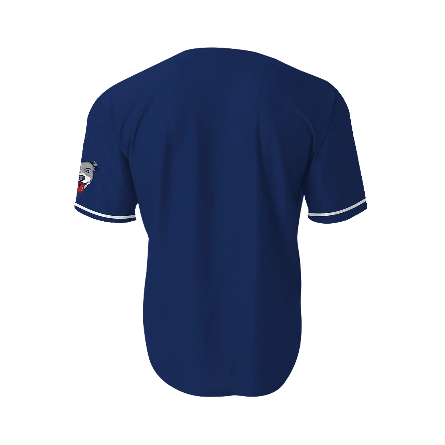 Lehigh Valley Pitties Theme Night Jersey - Image 2