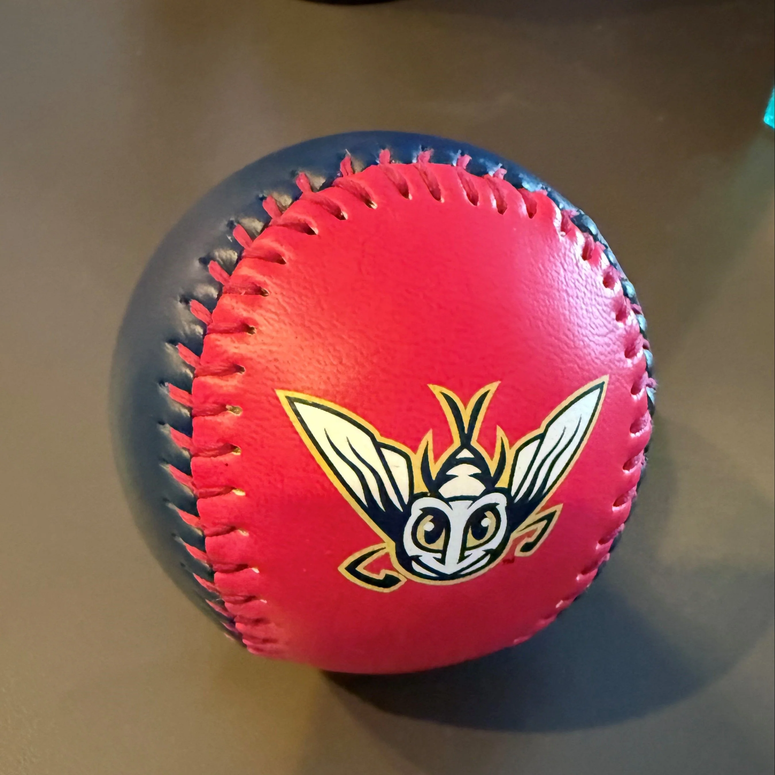 Mayfly Baseball