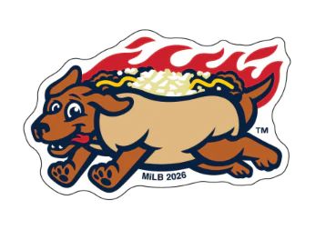 Pawtucket Hot Wieners Wincraft Domestic Acrylic Hot Wiener Dog Pin