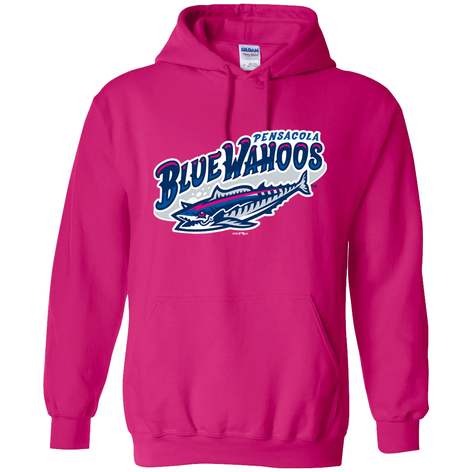 Pensacola Blue Wahoos Hoodie