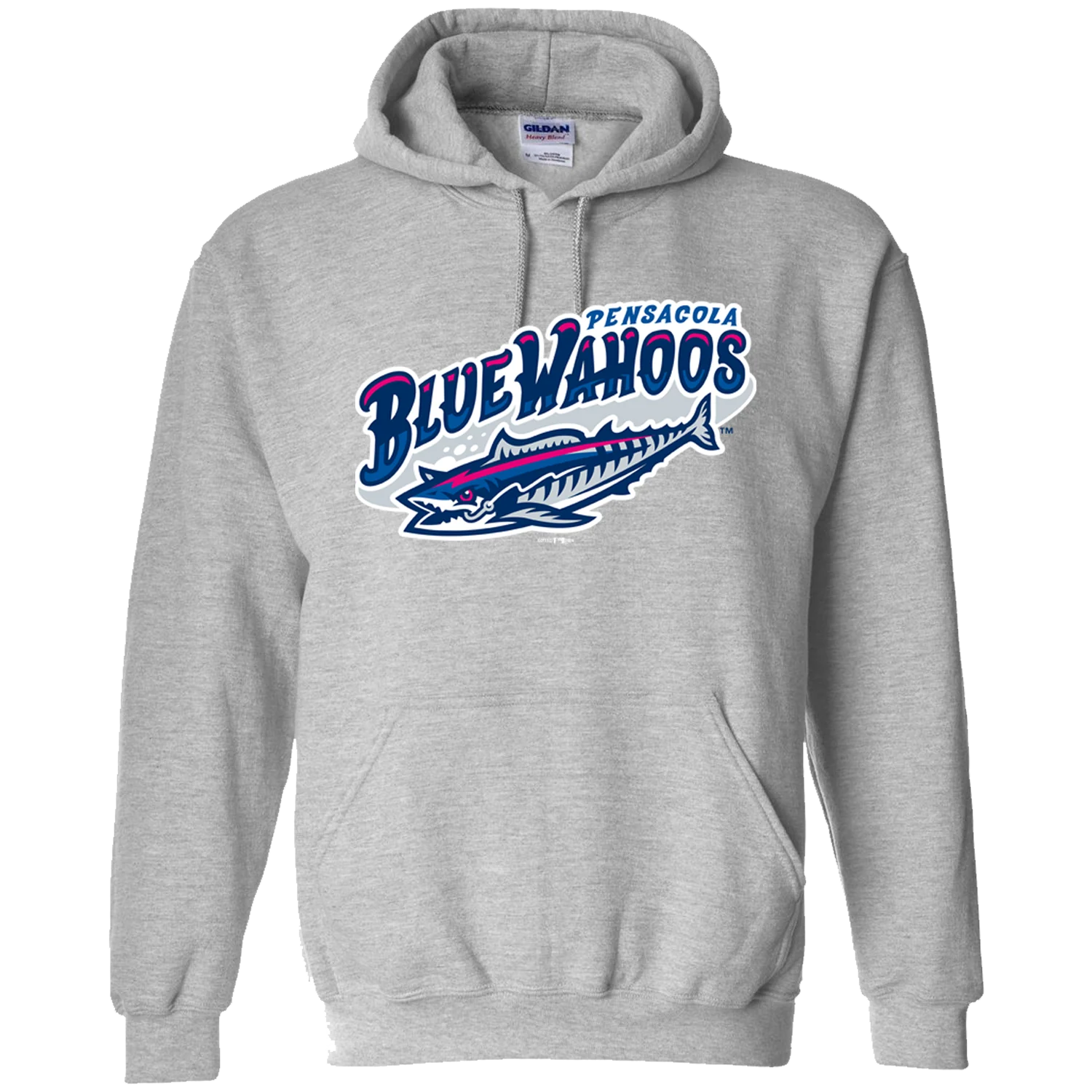 Pensacola Blue Wahoos Hoodie - Image 3