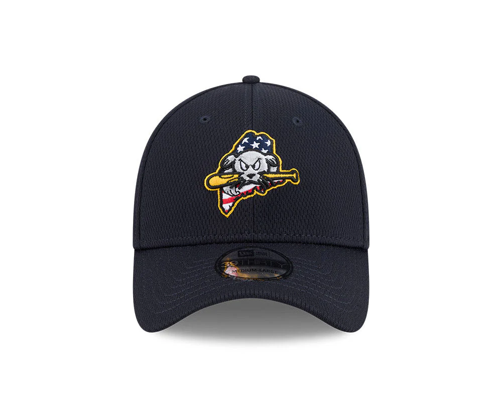 Portland Sea Dogs 39Thirty BP Hat - Image 2