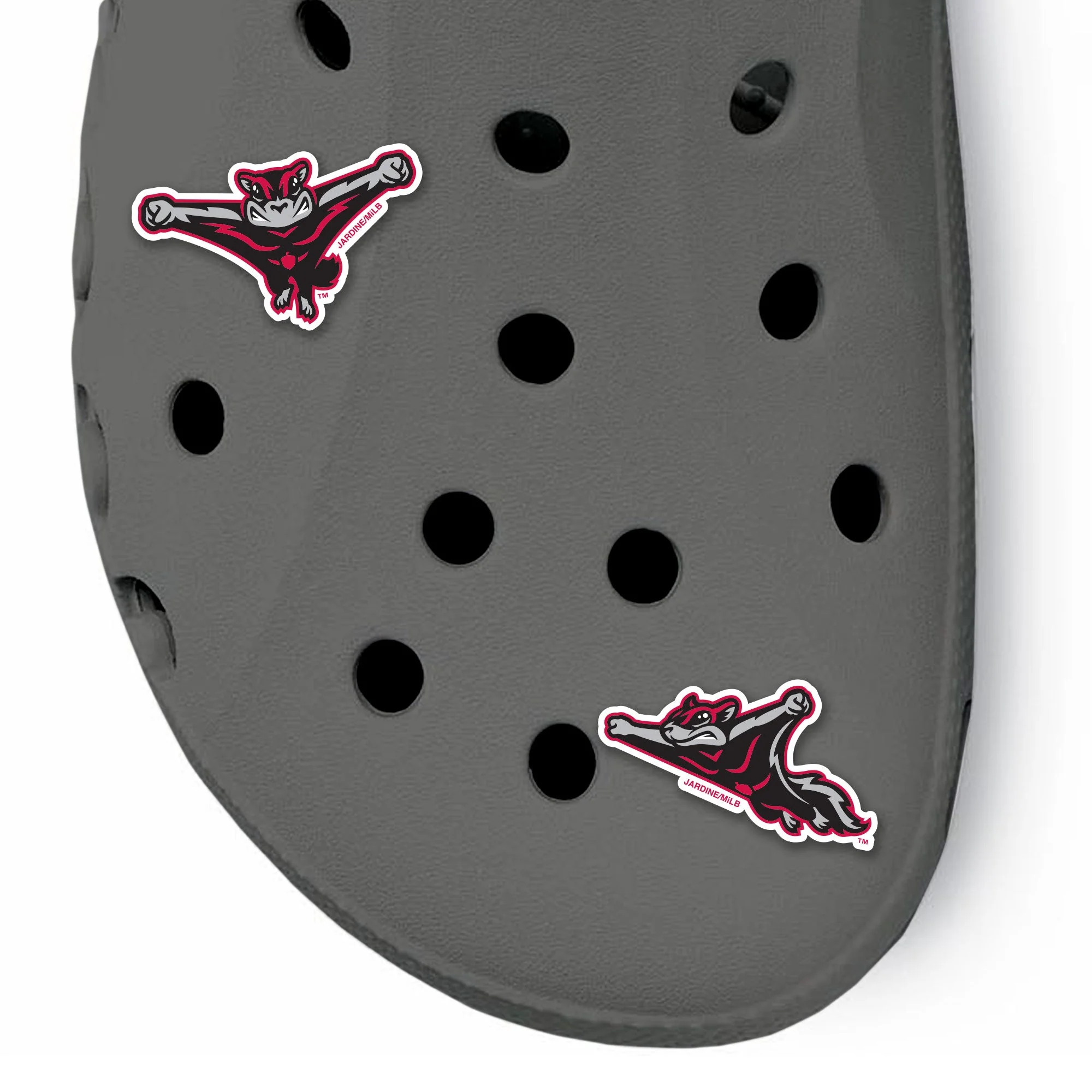 Richmond Flying Squirrels 2Pack Rubber Clog Charm