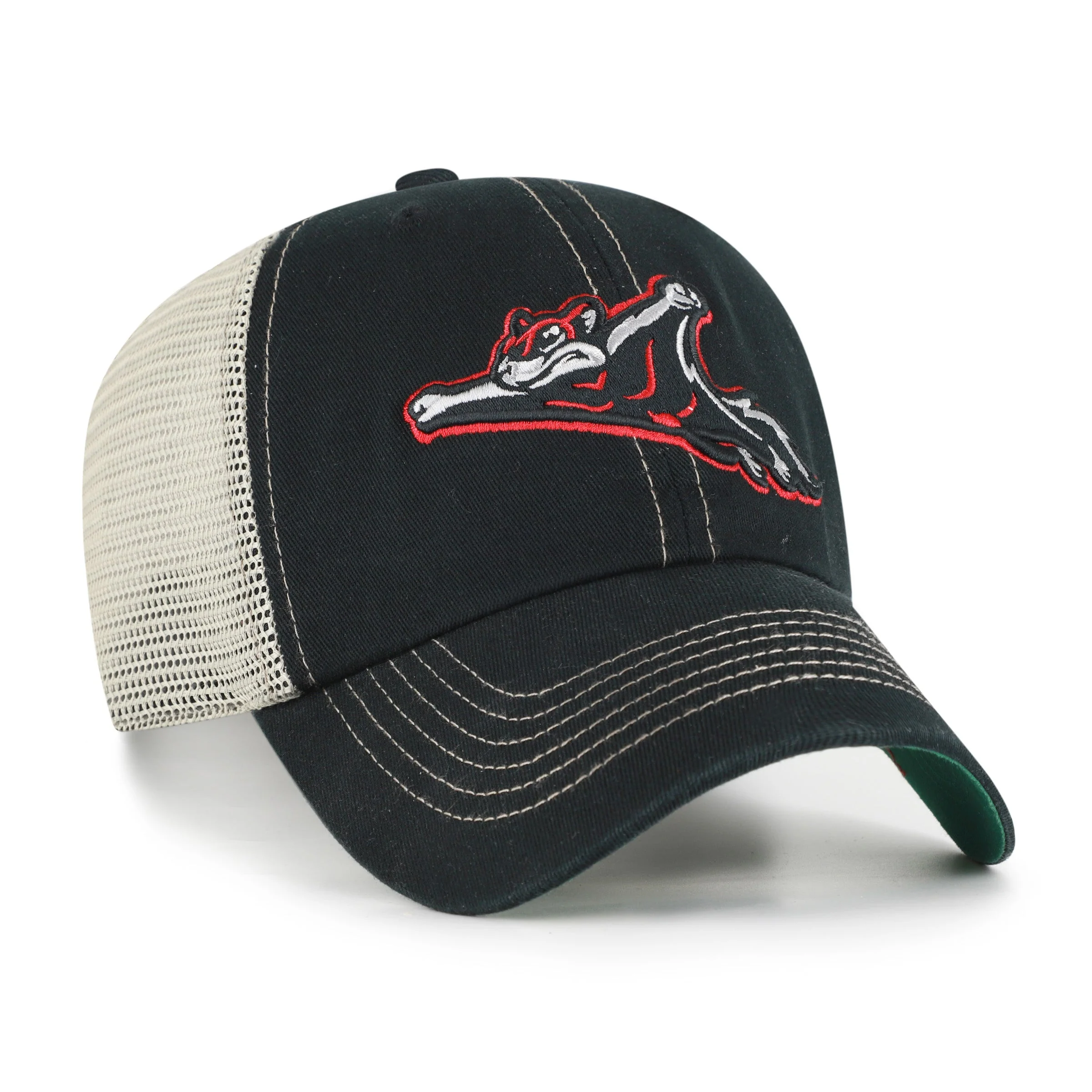 Richmond Flying Squirrels '47 Alt. Trawler Clean Up - Image 2