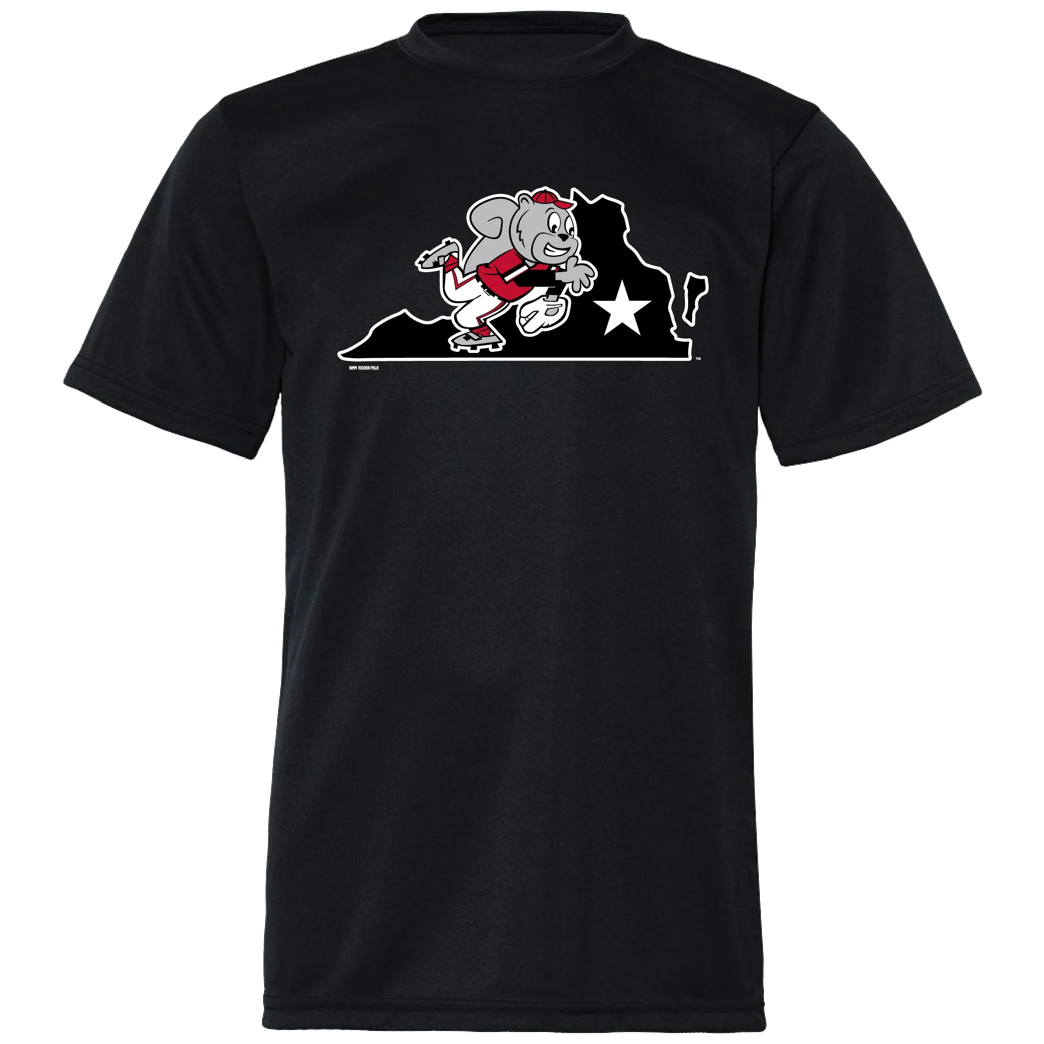 Richmond Flying Squirrels Youth Fauxback Tech Tee