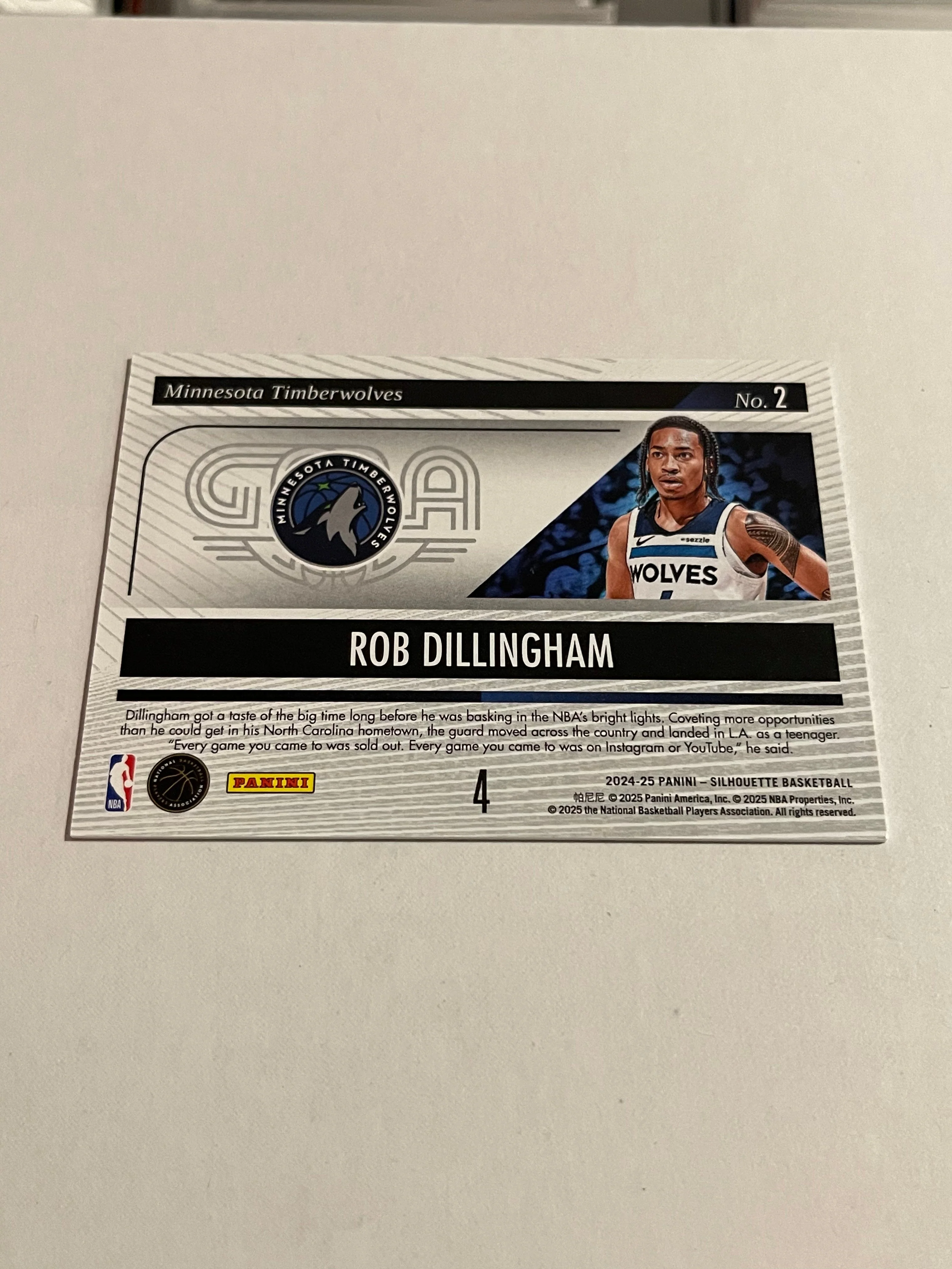 Rob Dillingham 2025 Panini Silhouette Basketball - Image 2