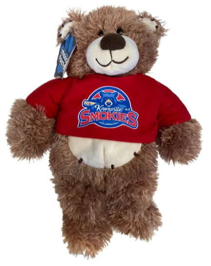 Stitchez Bear - Image 2