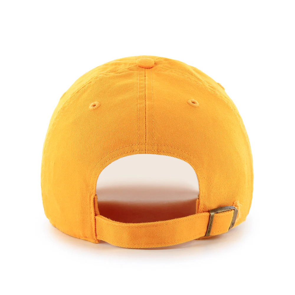 Toledo Mud Hens Archway Gold Clean Up Cap - Image 3