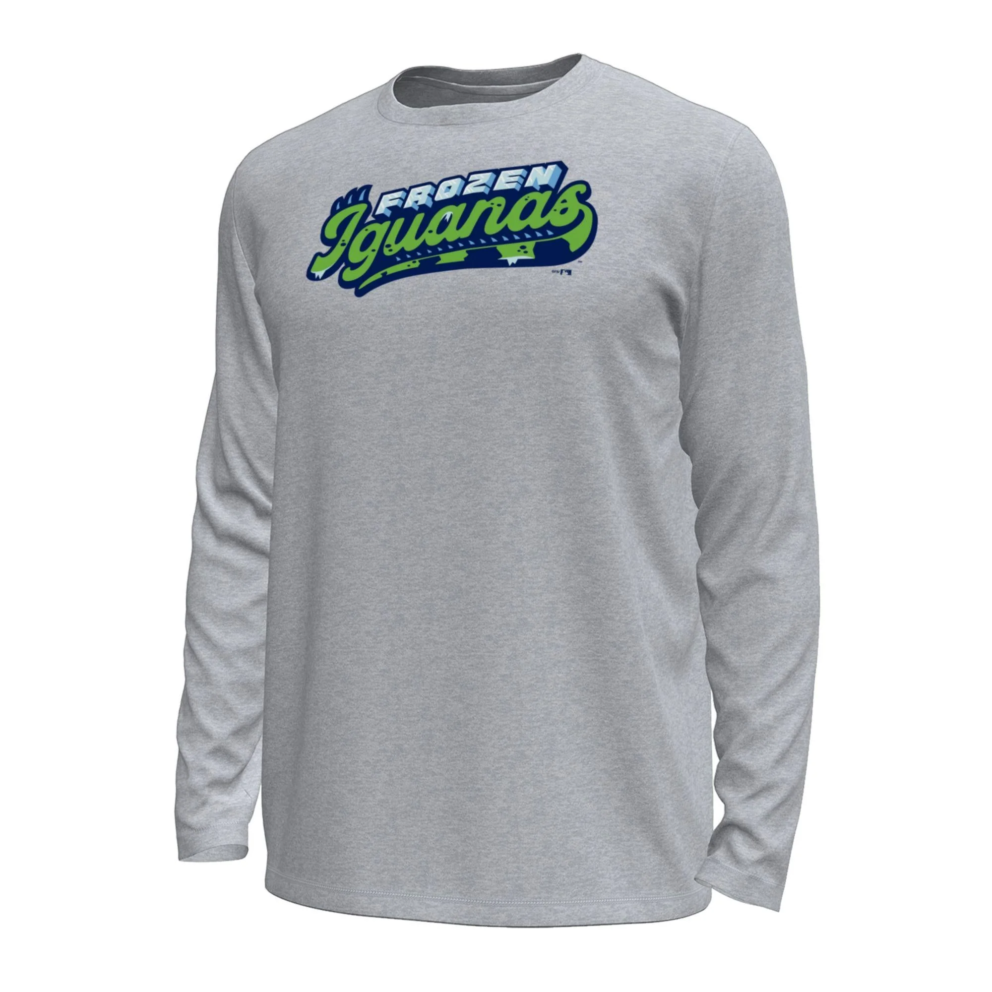 Under Armour Wordmark Tech Longsleeve