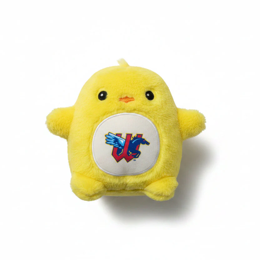 Wichita Wind Surge Duck Fan Cake Plush
