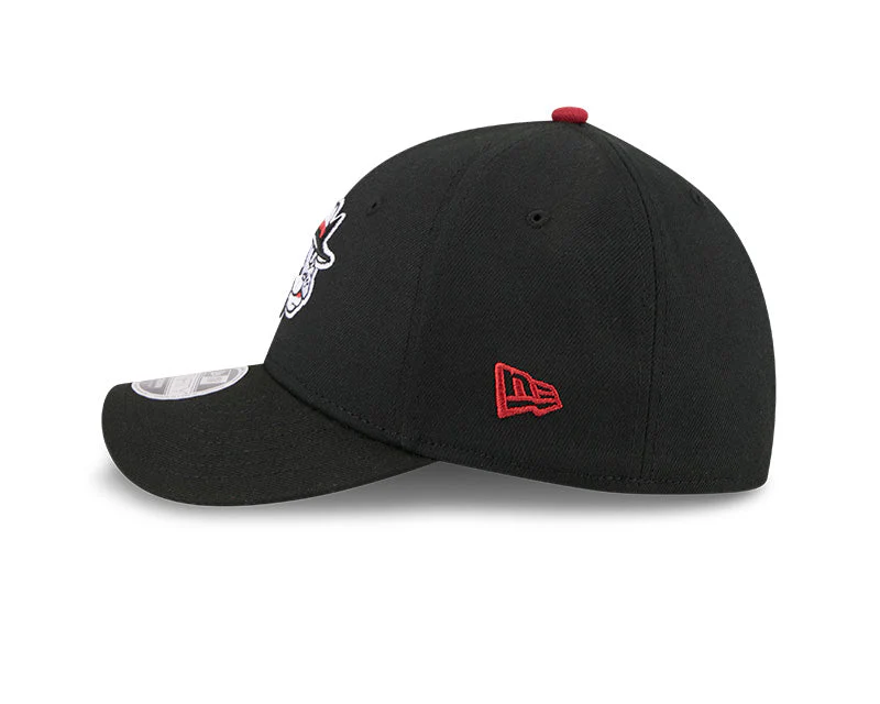 Winston-Salem Hooch Pooches Flex Fit Cap - New Era 39THIRTY - Image 4