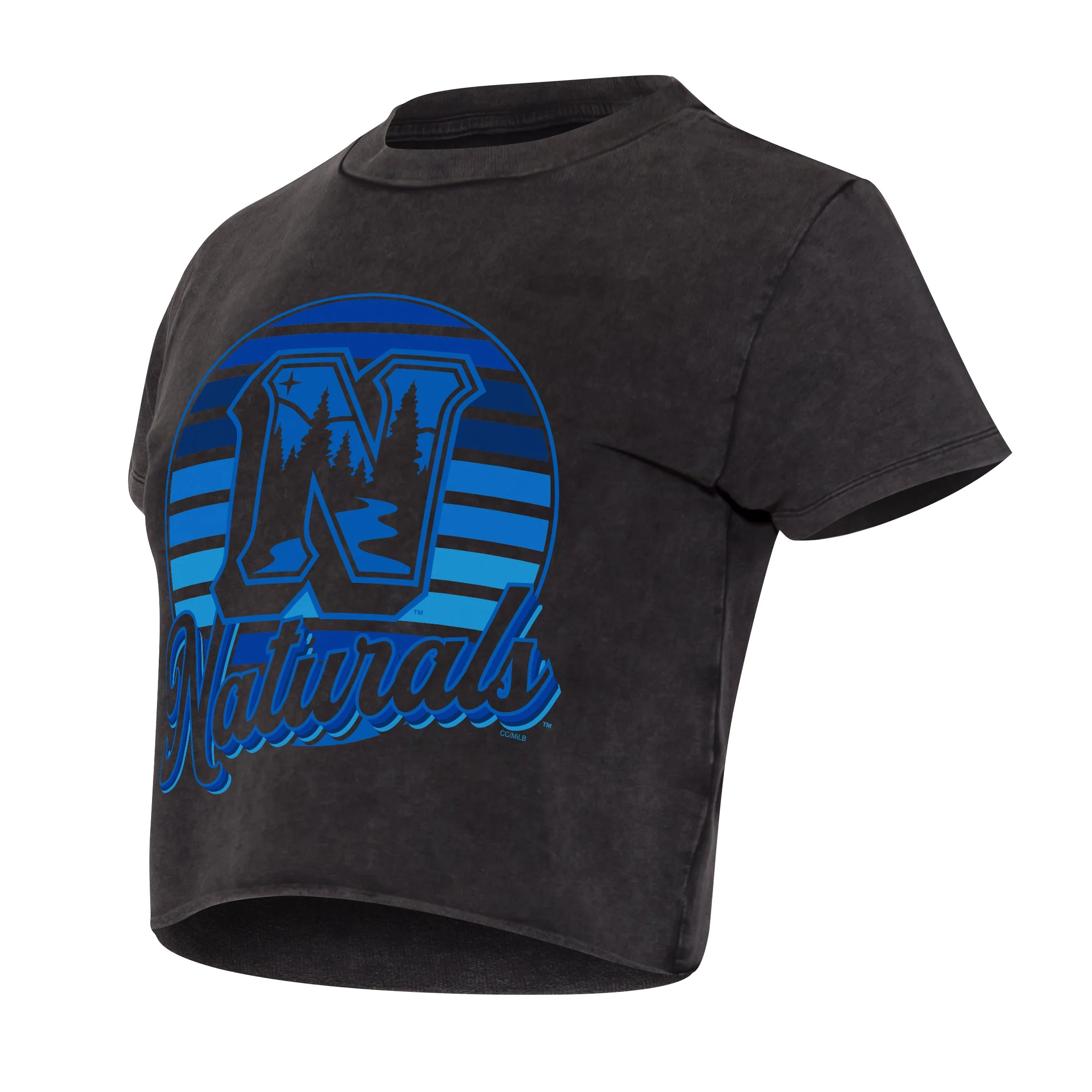 Womens Naturals Prism Charcoal Shirt