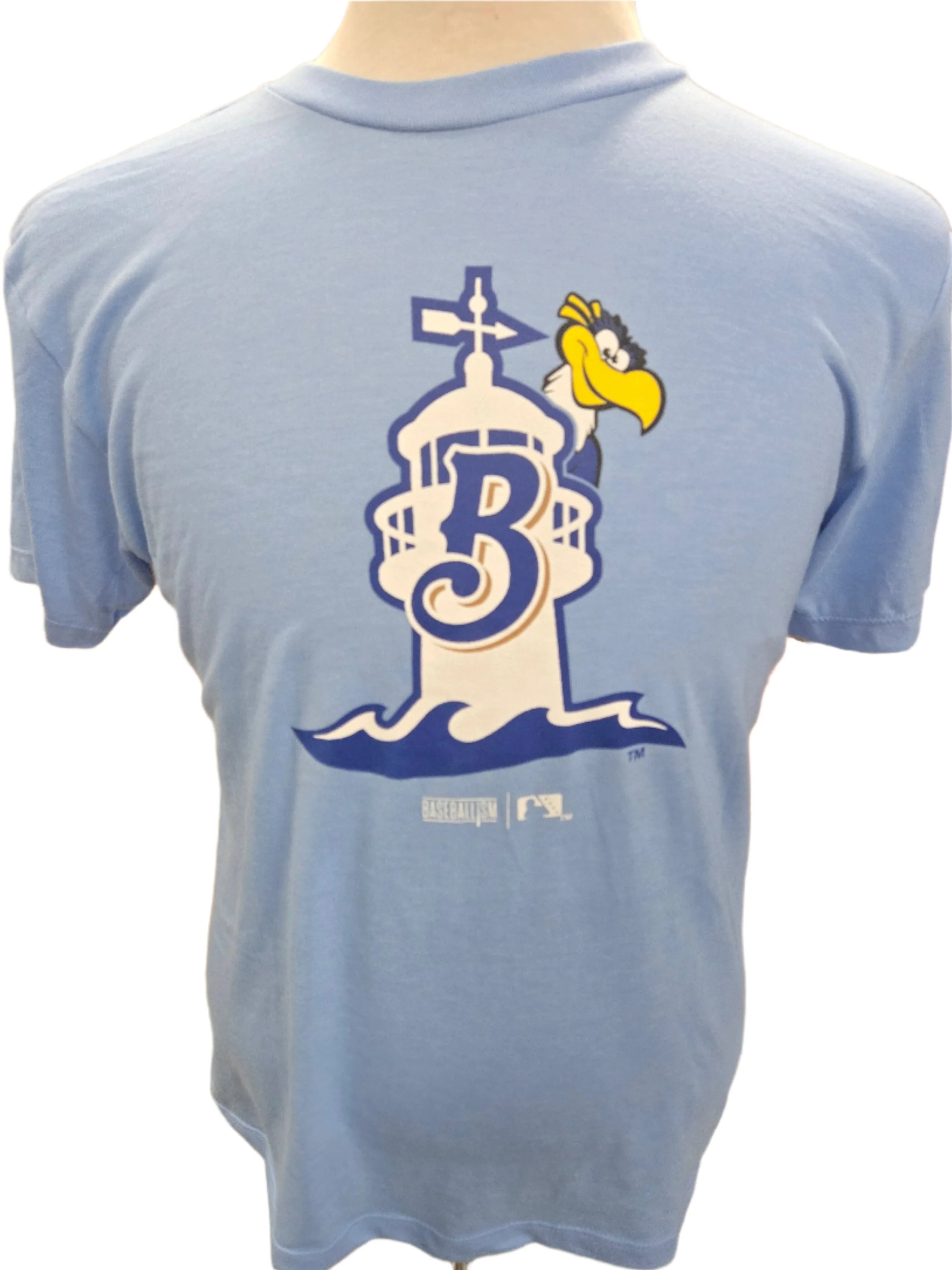 Youth Baseballism Hidden Schooner Tee