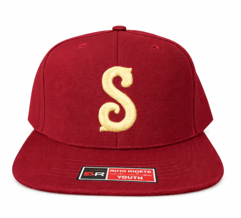 Youth Spartanburg Pastimes Snapback Hat